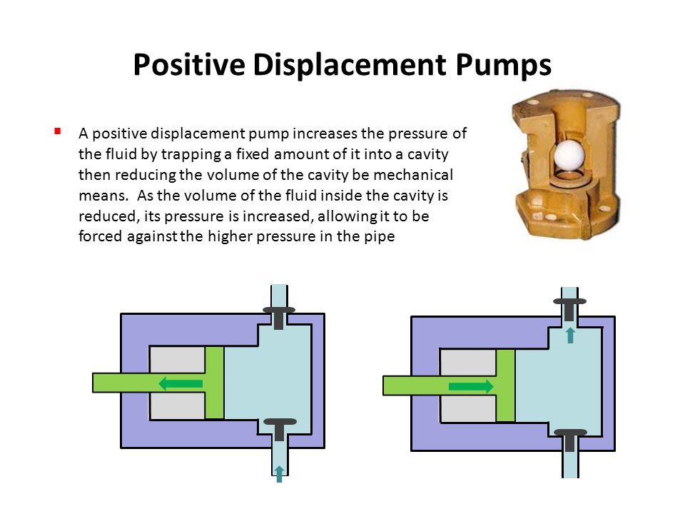 Positive non positive displacement pumps difference between then and than buddhist tourist places in bihar bettiah